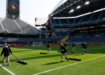 Club World Cup Plagued by Pitch Problems and Heat