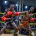 Kemis vs Lubega Headlines Week Six of Boxing Champions League