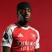 Arsenal Seal Noni Madueke Deal Amid Fan Backlash