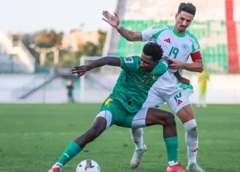 CHAN 2024 Warm-Up: Algeria and Mauritania Draw in Blida