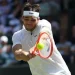 Fritz Reaches First Wimbledon Semi-Final After Comeback Win