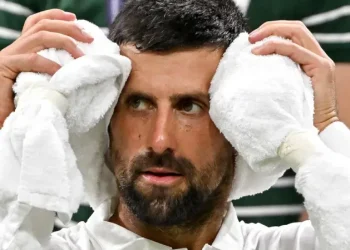 Wimbledon 2025: Djokovic Battles Illness, Sinner Dominates, Zverev Stunned
