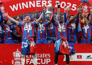 Crystal Palace Demoted from Europa League Over Ownership Rules