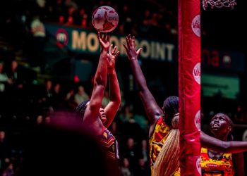 She Cranes Set for Celtic Cup Return in Glasgow