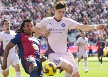 Wolves Sign Krejci on Loan as Transfer Window Heats Up