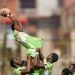 Impis Withdraw From 2025 Kabaka Coronation 7s Tournament