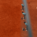 French Open Sticks with Human Line Judges for 2026