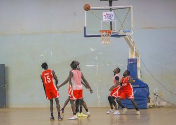 NBL Playoffs Tip Off Tonight with Lady Canons vs Rangers and Sommet vs Panthers