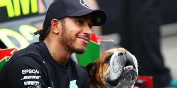 Lewis Hamilton Mourns Death of Beloved Bulldog Roscoe