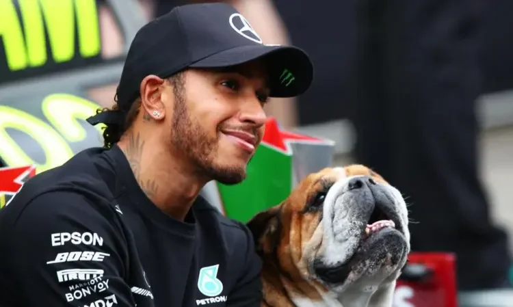 Lewis Hamilton Mourns Death of Beloved Bulldog Roscoe