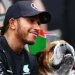 Lewis Hamilton Mourns Death of Beloved Bulldog Roscoe