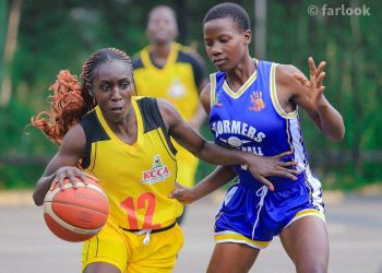 NBL Playoffs: Magic Stormers, UCU Canons Complete Semifinal Picture
