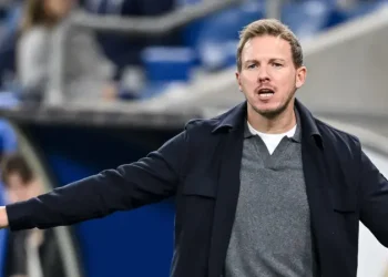 Nagelsmann Apologizes Over “Not Brilliant” Northern Ireland Comments