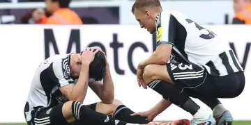 Newcastle Defender Livramento Out for 6-8 Weeks