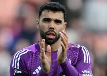 Arsenal Reward Golden Glove Winner David Raya with Improved Contract