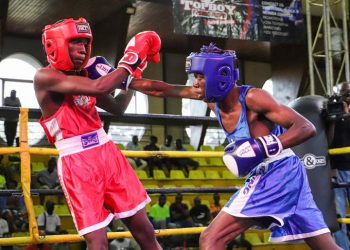 Uganda Boxing Champions League Nears Decisive Finale as Lighter Divisions Tighten