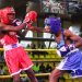 Uganda Boxing Champions League Nears Decisive Finale as Lighter Divisions Tighten
