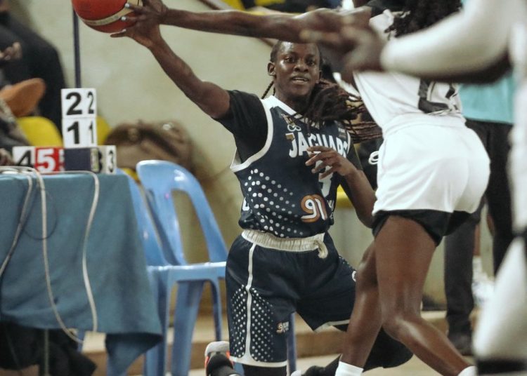 JT Lady Jaguars Believe Another “Big” Will Make Them Better For The 2026 NBL Season
