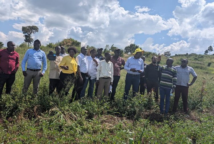 Government Eyes Major Academy Project as AFCON 2027 Work Accelerates