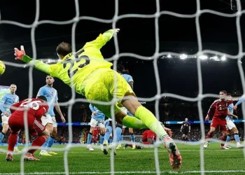 Webb Backs Officials in Van Dijk Offside Row