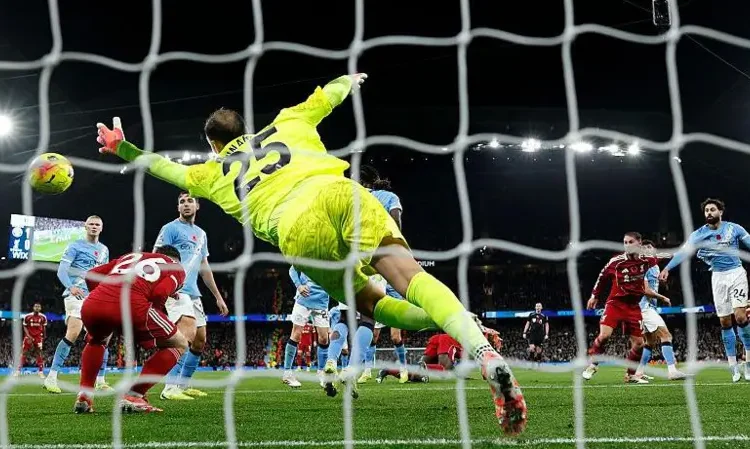 Webb Backs Officials in Van Dijk Offside Row