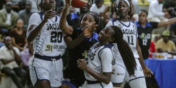 NBL Finals: Lady Dolphins Edge Closer to Title Defence