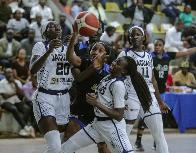 NBL Finals: Lady Dolphins Edge Closer to Title Defence