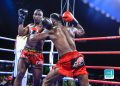 Christmas Fight Night to Feature Golola Fungu Showdown