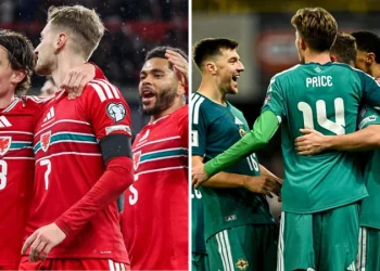 World Cup Play-Offs: Wales Secure Home Advantage, Northern Ireland Face Italy Test