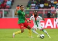 AFCON 2025: Stallions Blend Experience and New Blood in Final Squad