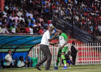 Vipers Denied Victory as NEC Fight Back