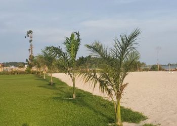 Beach Woodball Open Debuts in Style at Bunjako