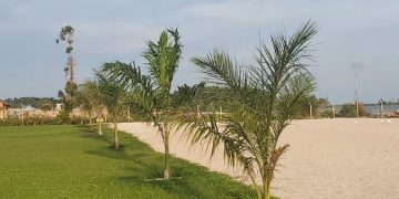 Beach Woodball Open Debuts in Style at Bunjako