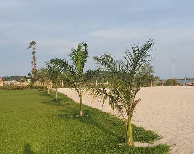 Beach Woodball Open Debuts in Style at Bunjako