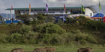 White Cap Rally Village Blends Rally Action, Music And Fan Interaction at Safari Rally