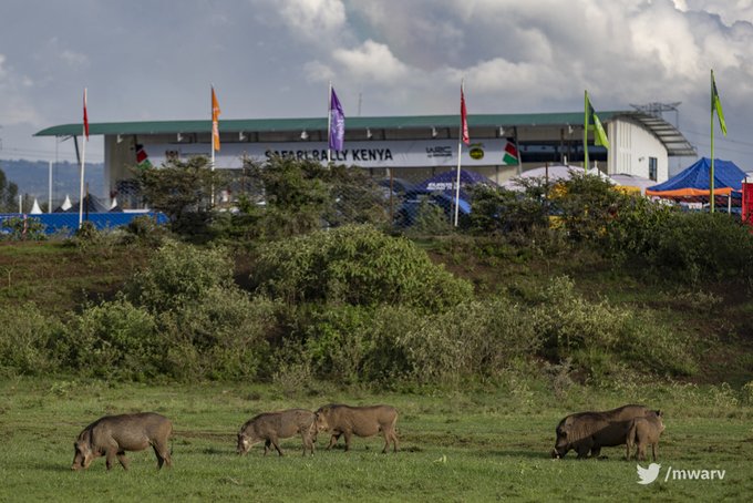 White Cap Rally Village Blends Rally Action, Music And Fan Interaction at Safari Rally