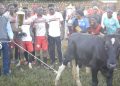 Ssabagabo Ssekanyonyi Dominates Mukwenda Cup as Youth Talent Shines in Ssingo