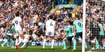 Leeds Crush Wolves to Edge Towards Safety