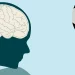New Ball Design Could Cut Brain Injury Risk