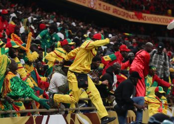 Senegalese Fans Contest AFCON Chaos Convictions