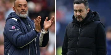 Spurs And West Ham In Survival Scrap