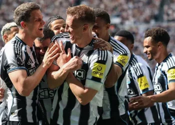 Newcastle Beat Brighton as Howe Breathes Again