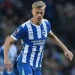 Brighton Brace for Renewed Spurs Move for Van Hecke