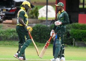 Tornado Bees Close In on League Glory Ahead of Crucial Matchday 16
