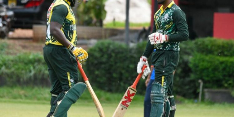 Tornado Bees Close In on League Glory Ahead of Crucial Matchday 16