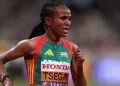 Gudaf Tsegay Hit With Four-Month Ban